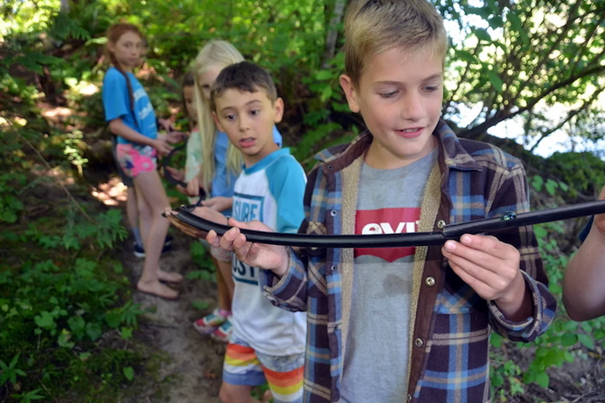 Children on the trail at a Highest Education outdoor camp